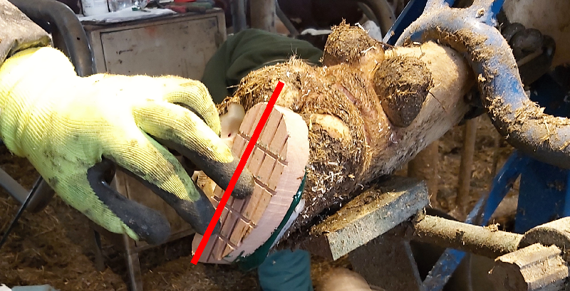 Funkce paznehtářského bloku